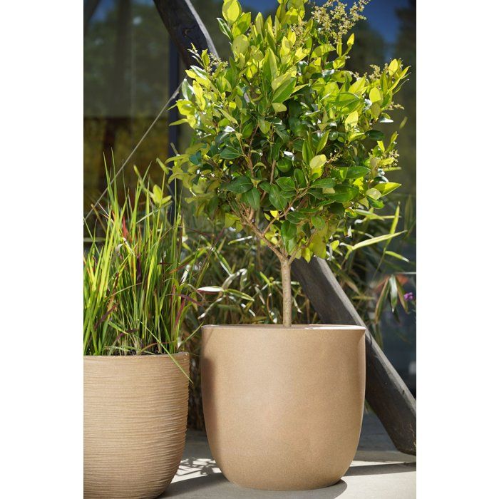 Pot boule - CAPI EUROPE - Rib NL - 35 x 34 cm - Beige