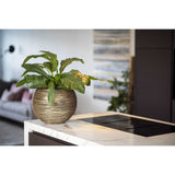 CAPI EUROPE Vase boule RIB NL - 40x32 cm - Noir et Or