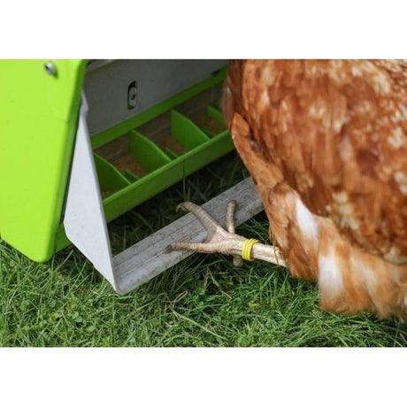 Nourrisseur automatique - KERBL - SmartCoop - 7,5 kg - Volet de protection - Vert