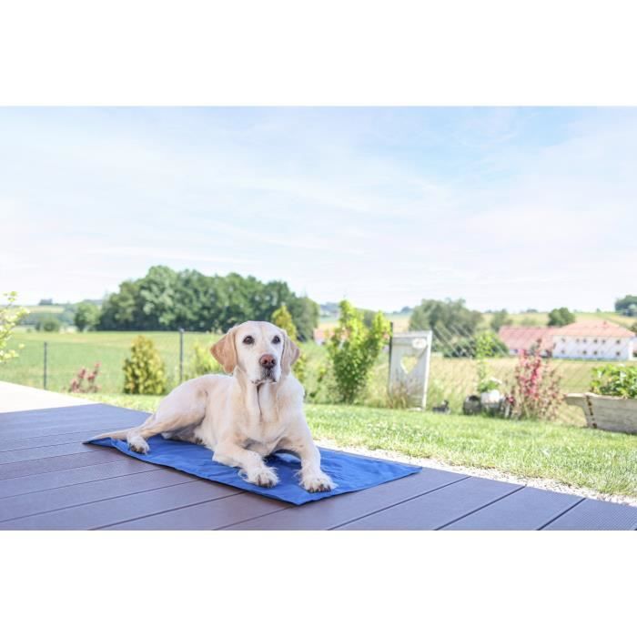 Tapis rafraîchissant - KERBL - CoolRelax - 50 x 40 cm - Bleu