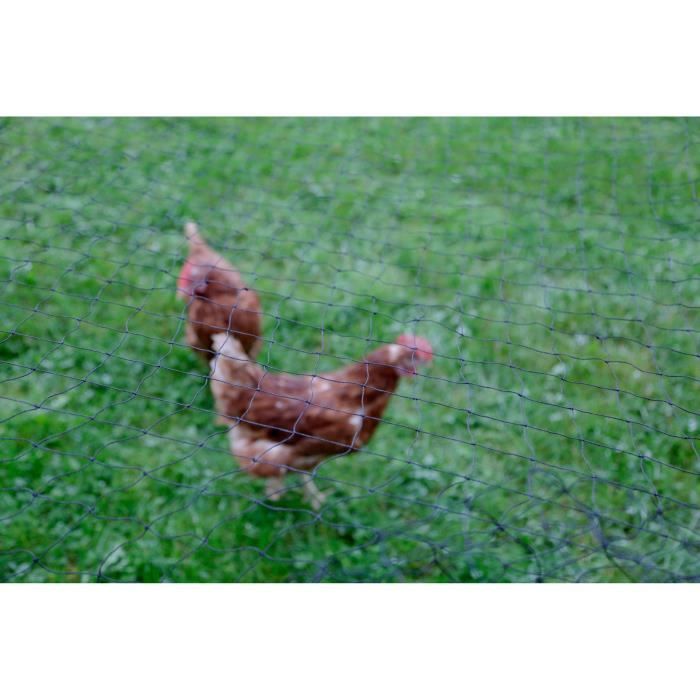 KERBL - Filet de protection - Maille 60 mm - 10 x 5 m - Noir  - Pour volaille