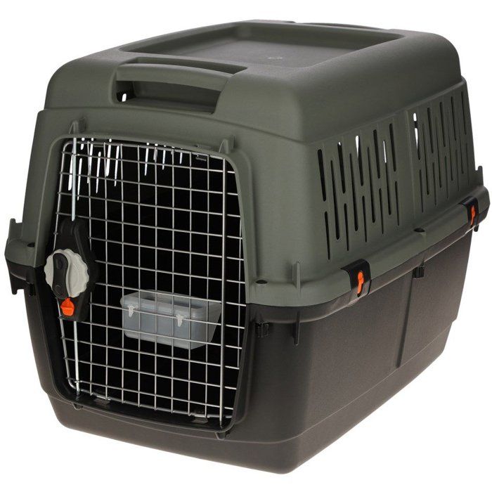 Box de transport Eco – Gris / Vert – 70 × 50 × 51,5 cm