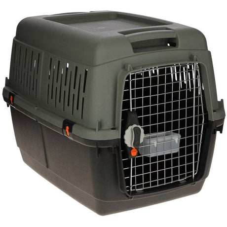 Box de transport Eco – Gris / Vert – 70 × 50 × 51,5 cm