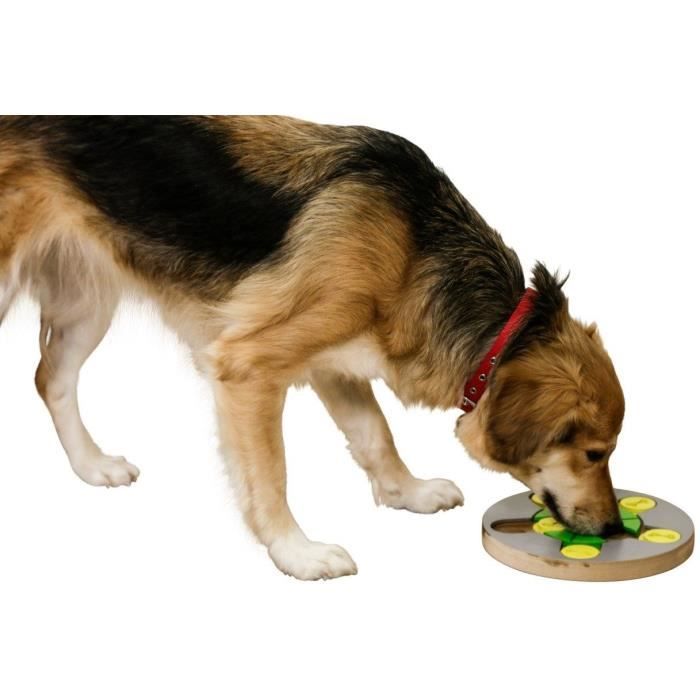 Jeu de réflexion/apprentissage - KERBL - Switch - Ř25 cm