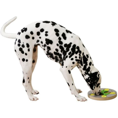 Jeu de réflexion/apprentissage - KERBL - Switch - Ř25 cm