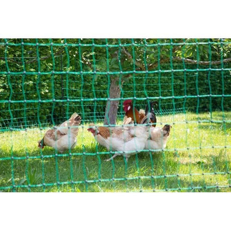 KERBL - Filet pour les poules 25 m - 106 cm - double pointe - vert - non électrique