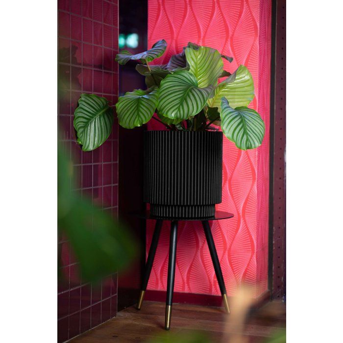Vase cylindre - CAPI EUROPE - Groove NL - 36 x 38 cm - Noir