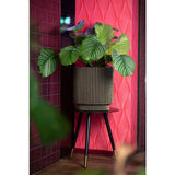 Vase cylindre - CAPI EUROPE - Groove NL - 36 x 38 cm - Noir/or