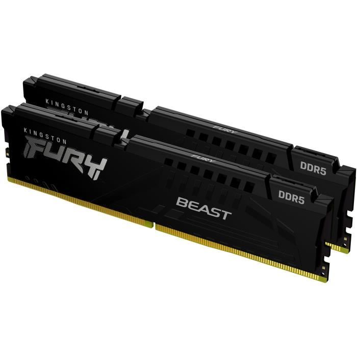 KINGSTON TECHNOLOGY Beast RAM DDR5 16 Go (2 x 8 Go) 5600 MHz CL40