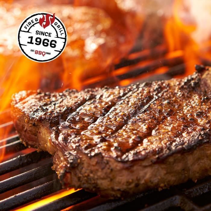 Landmann Triton PTS Maxx 4.1 gaz to coal barbecue gaz 4 feux + 1 br˚leur latÈral