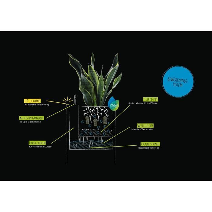 LECHUZA Pot de fleurs - Canto Stone 40 - 40 x 40 x 76 cm - Kit complet - Noir graphite