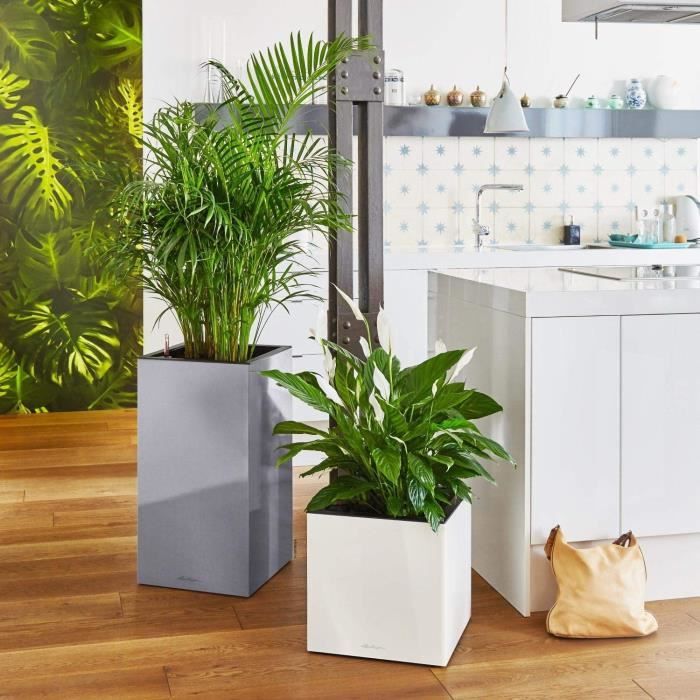 LECHUZA Pot de fleurs - Canto Premium Cube 40 - 40 x 40 x 40 cm - Kit complet - Anthracite métallique