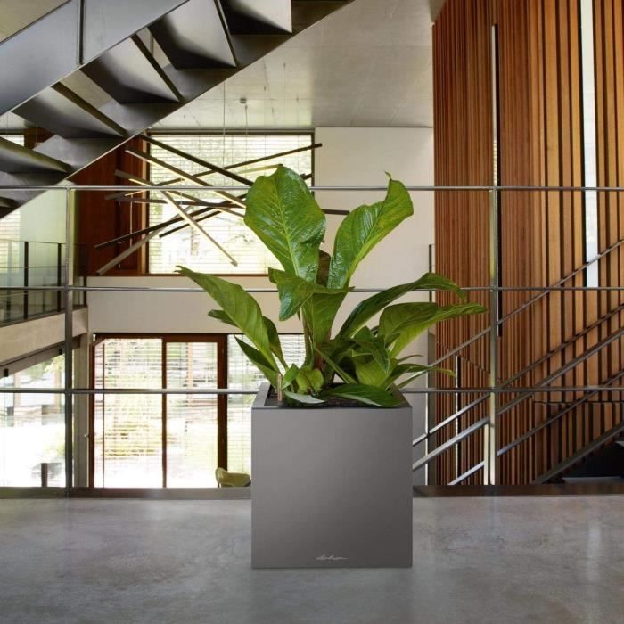 LECHUZA Pot de fleurs - Canto Premium Cube 40 - 40 x 40 x 40 cm - Kit complet - Anthracite métallique