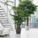 LECHUZA Pot de fleurs - Classico Premium 60 - Ø 60 x 55,5 cm - Kit complet - Taupe brillant