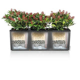 LECHUZA Jardiniere - Trio cottage 30 - 100 x 32,5 x 34,5 cm - 42 L - Kit complet - Granit