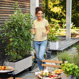 LECHUZA Jardiniere Trio Cottage 30 - 100 x 32,5 x 34,5 cm - 100 % recyclable - Kit complet gris clair