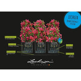 LECHUZA Jardiniere Trio Cottage 30 - 100 x 32,5 x 34,5 cm - 100 % recyclable - Kit complet gris clair