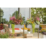 LECHUZA Jardiniere - Balconera stone 80 - 79 x 19 x 19 cm - 12 L - Kit complet - Gris pierre