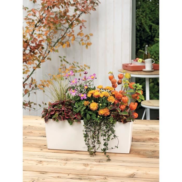 LECHUZA Jardiniere Balconera Color 50 ALL-IN-ONE Blanc 15670