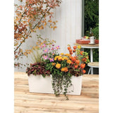 LECHUZA Jardiniere Balconera Color 50 ALL-IN-ONE Blanc 15670