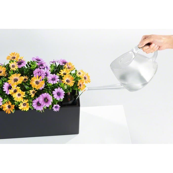 LECHUZA Balconniere Balconera 50 - 50x19 cm - Polypropylene - Marron - Intťrieur & extťrieur
