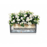 LECHUZA Balconniere Balconera 50 - 50x19 cm - Polypropylene - Marron - Intérieur & extérieur