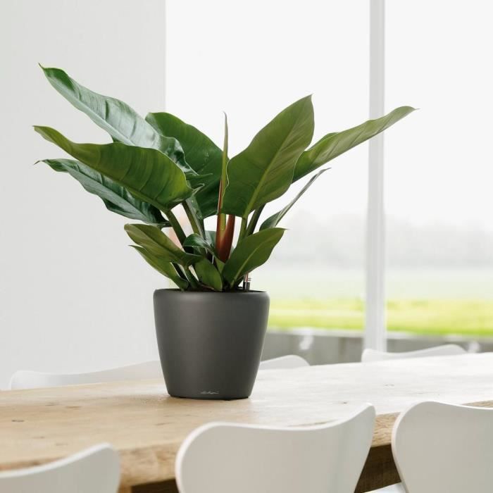 LECHUZA Pot de fleurs Classico Premium - Kit complet - Anthracite métallisé - Ø 21 x H20 cm - 3 L de capacité