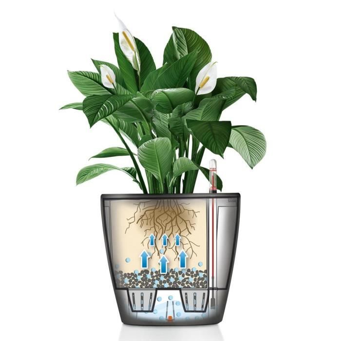 LECHUZA Pot de fleurs Classico Premium - Kit complet - Anthracite métallisé - Ø 21 x H20 cm - 3 L de capacité