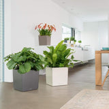 LECHUZA Pot de fleurs - Cube Premium 50 - 49 x 49 x 49,5 cm - Kit complet - Taupe brillant