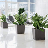 LECHUZA Pot de fleurs - Cube Premium 50 - 49 x 49 x 49,5 cm - Kit complet - Taupe brillant