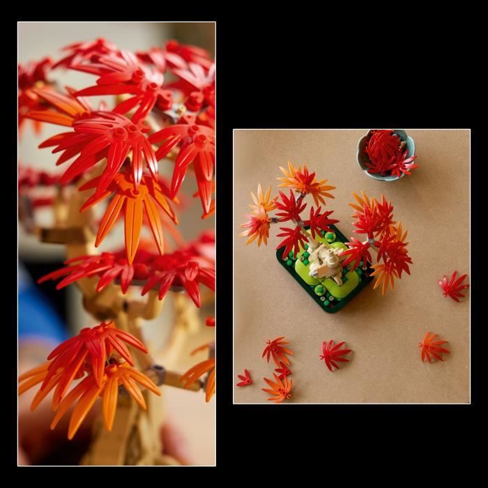 LEGO Botanicals 10348 Bonsai d'Érable Rouge du Japon - Kit de Construction pour Adulte