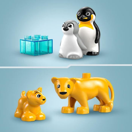 LEGO DUPLO Ma ville 10442 Familles d'animaux sauvages : pingouins et lions - Jeux d'éveil