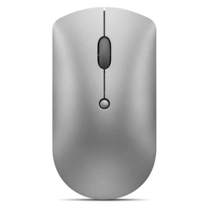 Souris sans fil LENOVO 600 Silent - Bluetooth 5.0 - Boutons silencieux - Double connexion - Gris fer