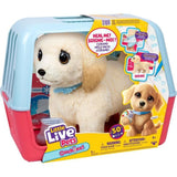 Peluche - LITTLE LIVE PETS - Mon chien ouchies - Des 5 ans