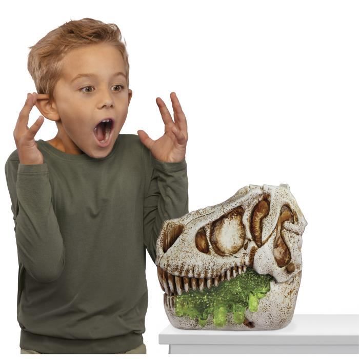 GrossMos Flying - Découvre ton dinosaure volant - Vert - 3 modeles a collectioner