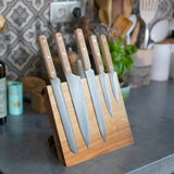 Set de 5 couteaux - LIVOO - MEC136 - 20 a 32,5 cm - Lame acier inoxydable - Support magnétique