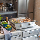 Plancha électrique inox 2 thermostats - LIVOO - DOC302 - 2800W - Plaque amovible en acier inoxydable - 2 thermostats ajustables