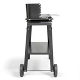 Barbecue a charbon - LIVOO - DOC328 - Inox - Surface de cuisson 48,5 x 28,8 cm - Hauteur réglable 70-84 cm