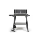 Barbecue a charbon - LIVOO - DOC328 - Inox - Surface de cuisson 48,5 x 28,8 cm - Hauteur réglable 70-84 cm