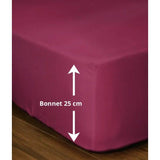 Drap-housse - LOVELY HOME - LH71615 - 160x200+25 cm - Fuchsia
