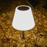 Lampe de table solaire 2 en 1 a planter ou a poser - LUMISKY - BOUFFANT - H62 cm - LED blanc dimmable