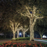 Guirlande lumineuse solaire Yogy Solar - LUMI JARDIN - 200 LED - 1700 cm - Blanc chaud