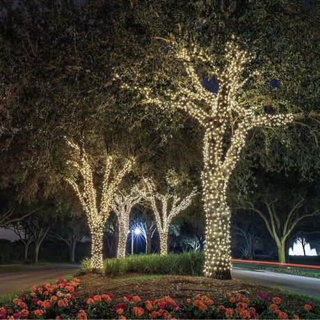 Guirlande lumineuse solaire Yogy Solar - LUMI JARDIN - 200 LED - 1700 cm - Blanc chaud