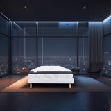 LUXURY LITERIE - Ensemble matelas + sommier - SLEEPLUX - 160 x 200 cm - Tapissier - Ferme  - Face été/hiver