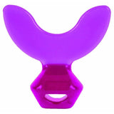 Machouyou Dispositif 1eres dents Prune dés 2 ans