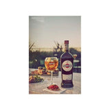 Martini Rosso - Vermouth - Italie - 14,4%vol - 50cl