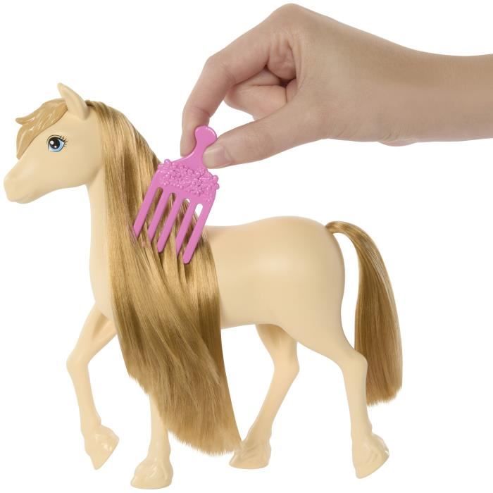 Barbie  Barbie Mysteries : The Great Horse Chase-Poney et accessoires HXJ36