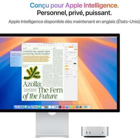 Apple - Mac mini (2024) Puce Apple M4  - RAM 24Go - Stockage 512Go SSD - CPU 10 coeurs GPU 10 coeurs - Argent