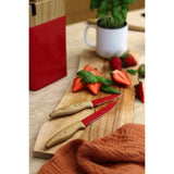 Bloc de couteaux 6 pieces - MENASTYL - 5041061 - Lame céramique - En polypropylene - Magenta