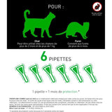 Frontline Combo chat - Anti-puces anti-tiques pour chat - 6 pipettes